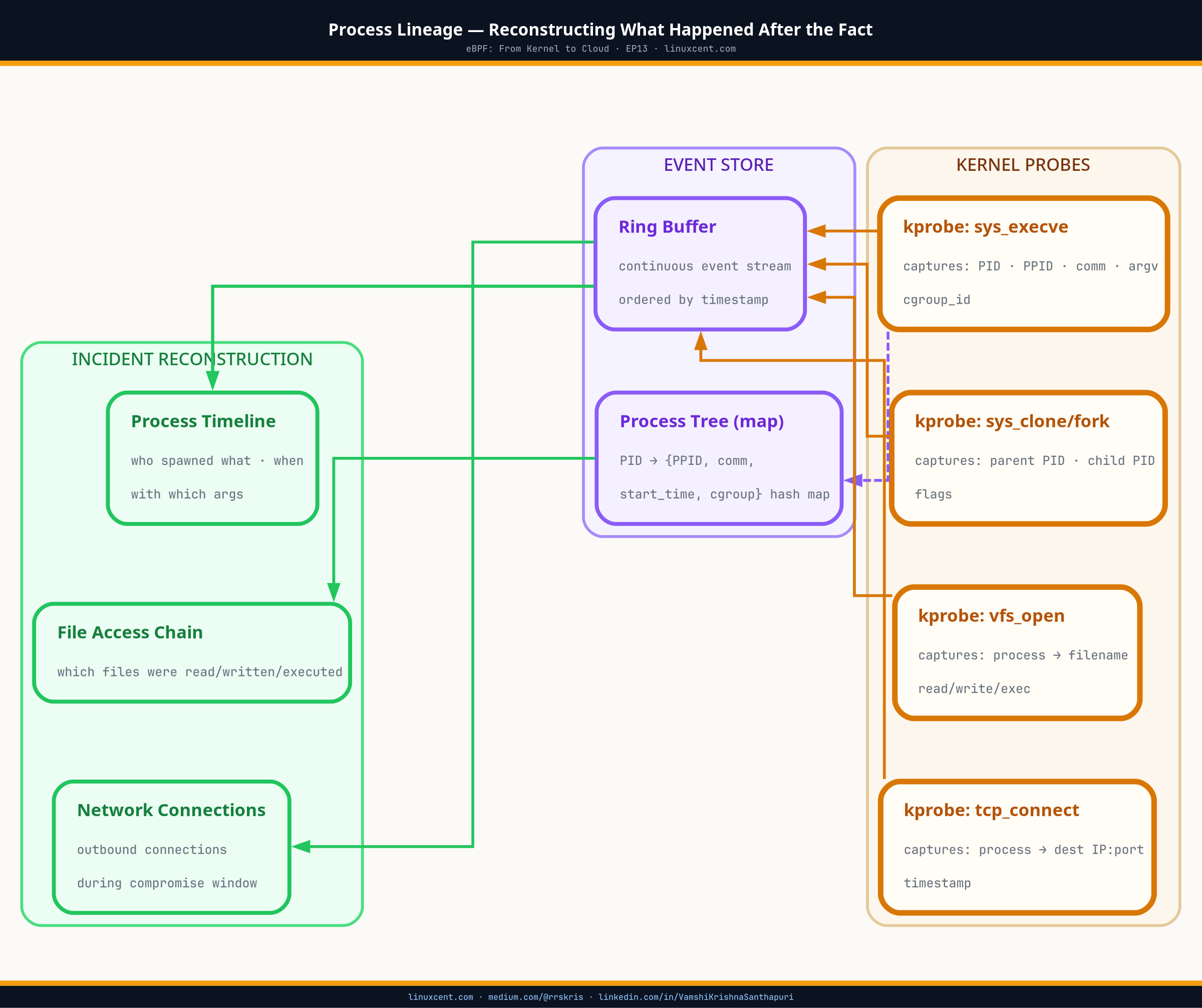 eBPF Process Lineage — kernel-level process ancestry tracking for runtime security forensics